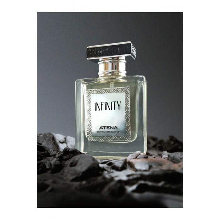 Infinity Edp 50ml Niche Erkek Parfüm Odunsu