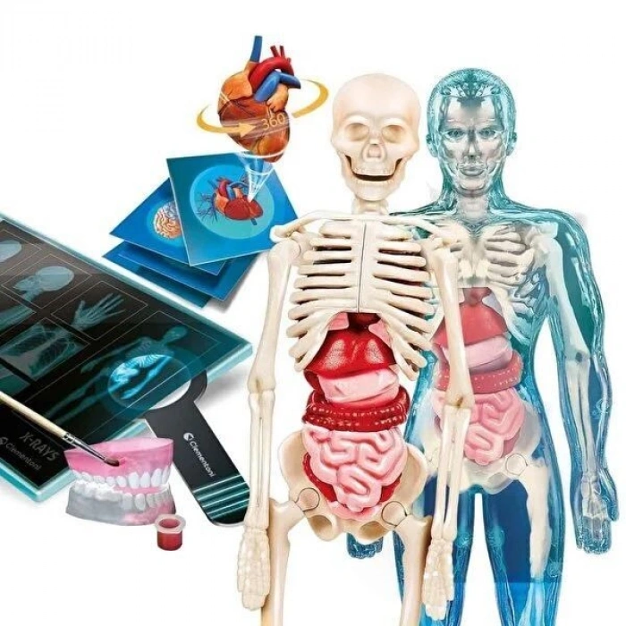 Clementoni Süper Anatomi 64474