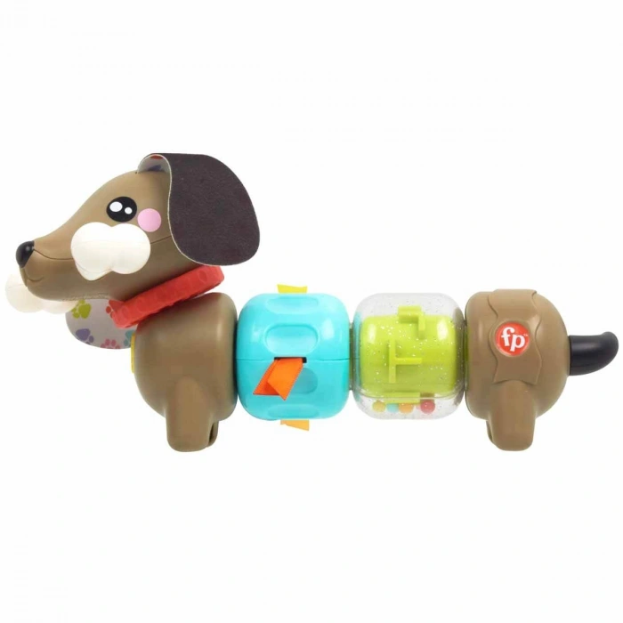 Mattel Fisher Köpekçikle Eğlenceli Aktivite HTW91