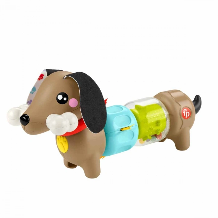 Mattel Fisher Köpekçikle Eğlenceli Aktivite HTW91