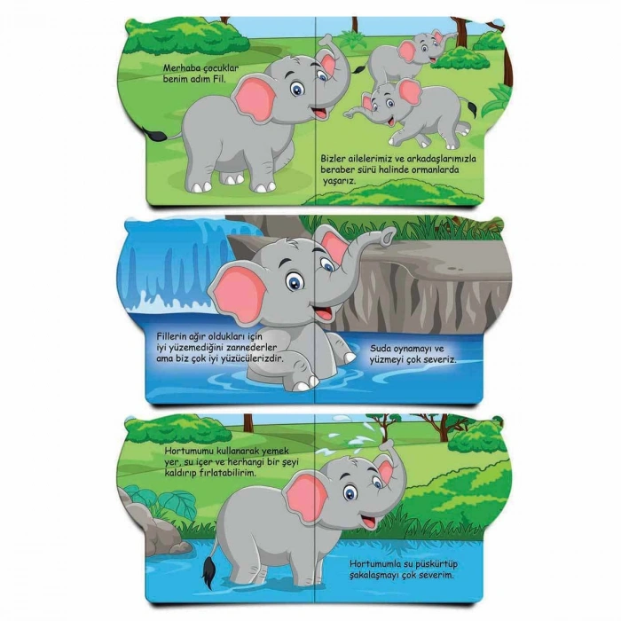 DIYTOY BEN KIM HAYVANLAR 6LI KİTAP SET