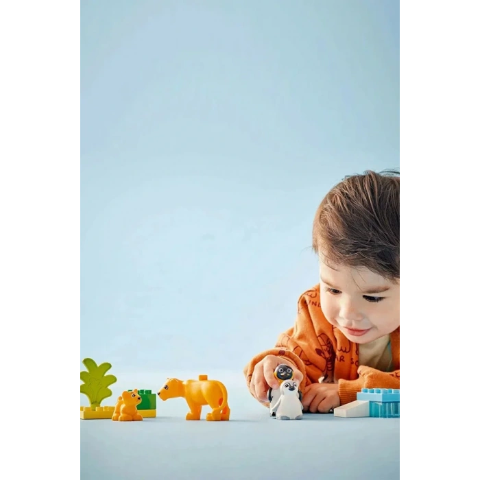 LEGO PENGUEN VE ASLANLAR