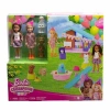 Mattel Chelsea Köpekçiğin Doğum Günü Set HJY88