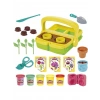 Hasbro Play-Doh Renkli Çiçekler Botanik G0492