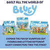 BLUEY 4LÜ FİGÜR SETİ 2A