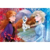 Clementoni Puzzle 60 2 Frozen 2 26058