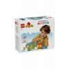 LEGO ARILARIN VE ARI KOVANLARININ BAKIMI