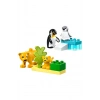 LEGO PENGUEN VE ASLANLAR