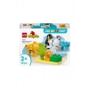 LEGO PENGUEN VE ASLANLAR