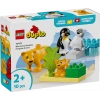 LEGO PENGUEN VE ASLANLAR