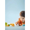LEGO PENGUEN VE ASLANLAR