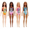 Mattel Barbie Tatilde Bebekleri DWJ99