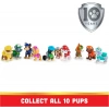 PAW PATROL HEDİYE FİGÜR SETİ
