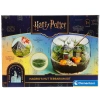 TERARYUM HARRY POTTER HAGRİDİN KULÜBESİ