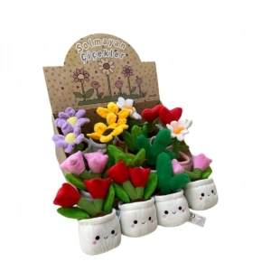 Halley 20 Cm Saksıda Çiçek