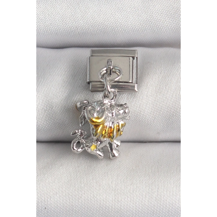 BFS 316L Çelik Gümüş Renk Sallantı Aslan Model Nomination Charm