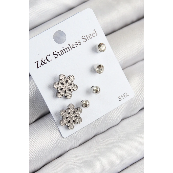 BFS 316L Çelik Zirkon Taşlı Kar Tanesi Model Gümüş Renk Kadın Set Küpe