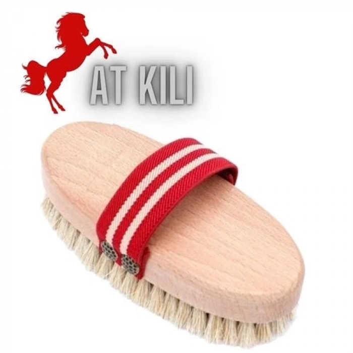 BFS  Absolute At Kılı Kuru Islak Selülit Peeling Fırçası