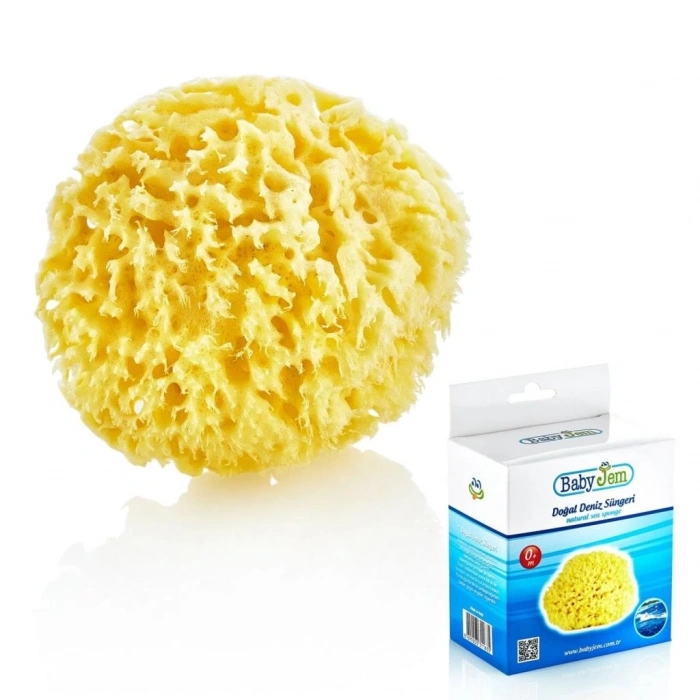 BFS     Doğal Deniz Süngeri 163