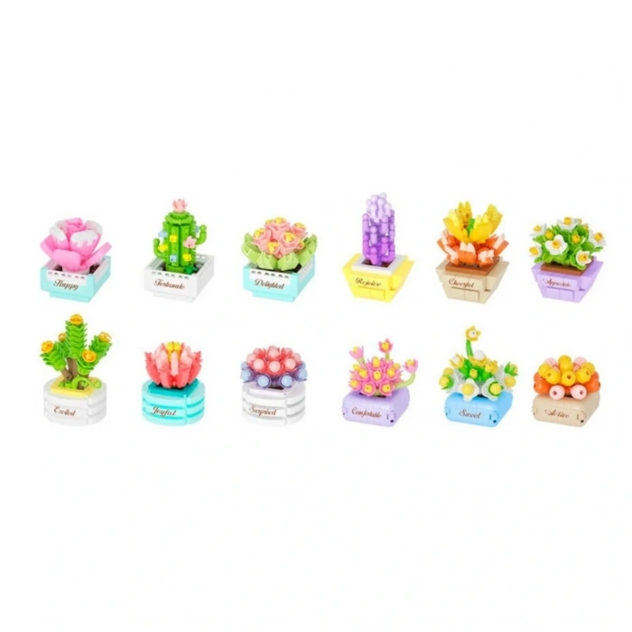 BFS Saksı Çiçekleri Sukulent Serisi 3D Puzzle