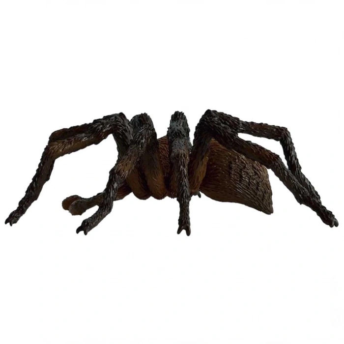 BFS   Schleich HP Aragog 13987
