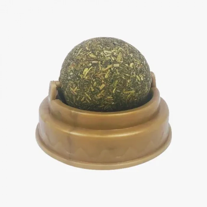 Kedi Nanesi Oyun Topu