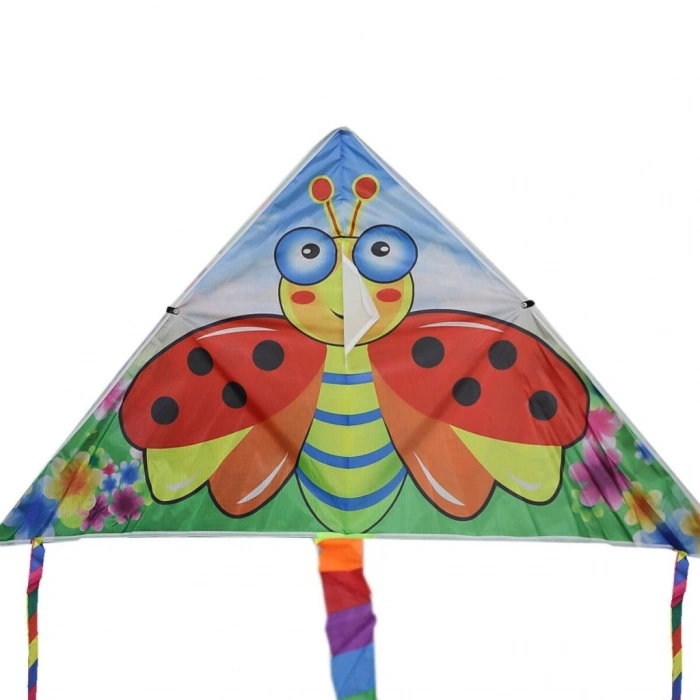 Mey İthalat®  CN-630 Uçurtma