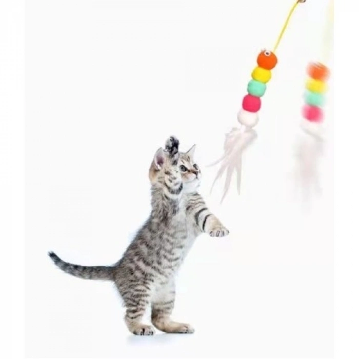 Mey İthalat® Elastik Kendinden Yapışkanlı Solucan Kedi Oltası