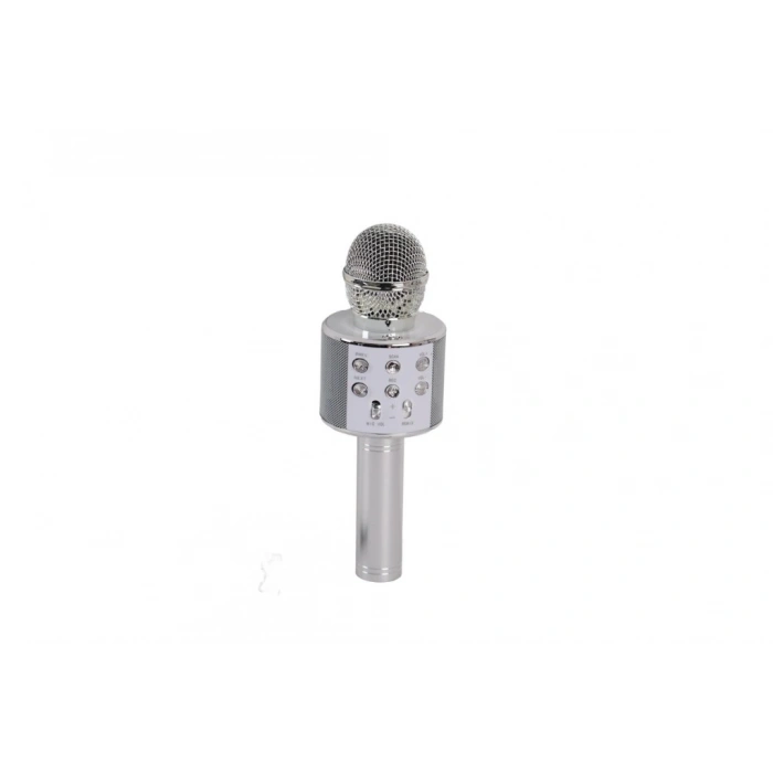 Mey İthalat® EMR-101 KUTULU KARAOKE MİKROFON