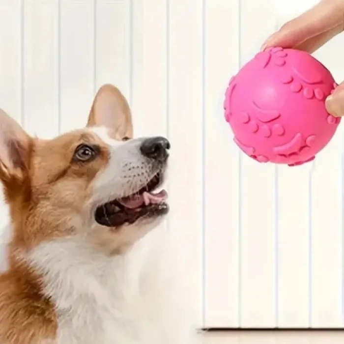 Mey İthalat® Pati Desenli Dayanıklı Köpek Isırma Topu