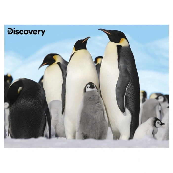 Mey İthalat®  Prime 3D - Penguen Pelüş ve Selfie 48 Parça Puzzle 15809