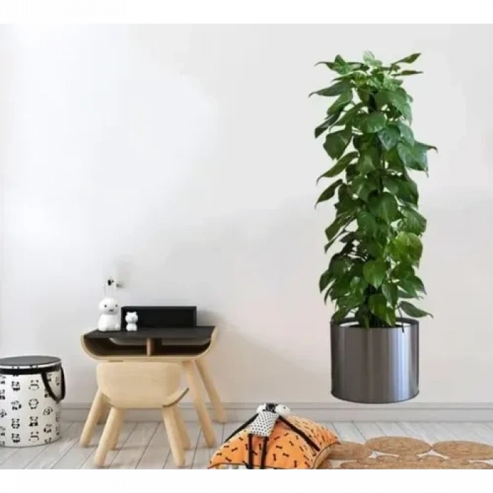 Mey İthalat® Saksılı Bitki Tasarımlı Yapışkanlı Sticker Resim 90*30 cm MC-665