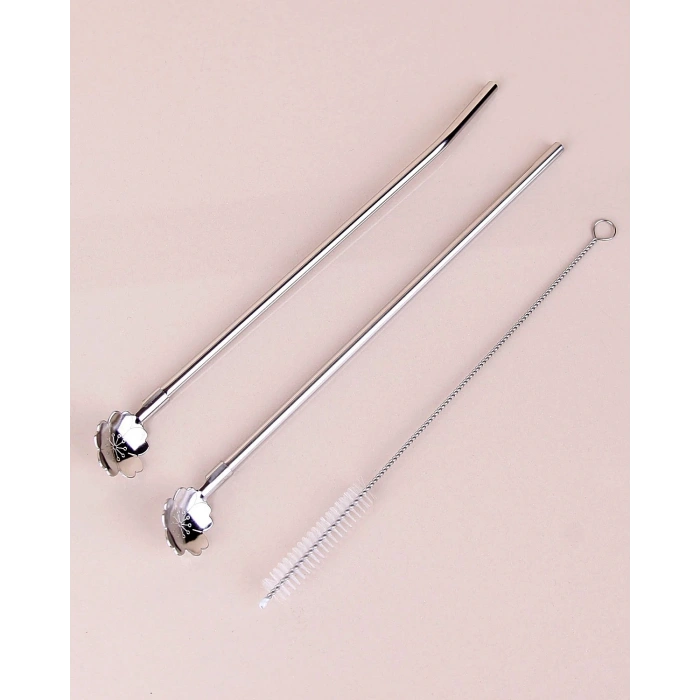 Paslanmaz Metal 2 Li Kaşıklı Pipet Fırça Seti