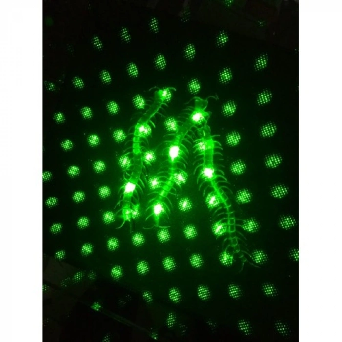 Şaka Yılan ve Kırkayak Karışık 36 Adet