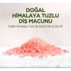 BFS   Doğal Diş Macunu 90 Gr Himalaya Tuzlu