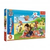 BFS  PUZZLE-14346 Paw Patrol 24 Parça Maxi Çocuk Puzzle -Vardem