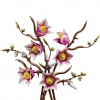 Mey İthalat® 11510  Botanicals Manolya Dalları+18 yaş