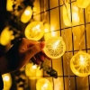 Mey İthalat® 2m 10 Led Pilli Limon Işık