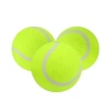 Mey İthalat® 3lü Köpek Oyun Tenis Topu