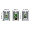 Mey İthalat® 3D Çiçek Vazo Duvar Sticker 3 lü Set GRİ Fon