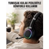 Mey İthalat® Bluetooth 5.0 RGB Işıklı Mikrofonlu Kablosuz Kulak Üstü Kulaklık