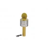Mey İthalat® EMR-101 KUTULU KARAOKE MİKROFON