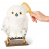 Mey İthalat®  Harry Potter Büyüleyici Hedwig