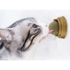 Mey İthalat® Kedi Nanesi (Catnip) Oyun Topu