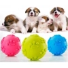Mey İthalat® Köpek Isırma Topu Pati Desenli 1291
