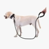 Mey İthalat® Köpekler İçin Reflektörlü Halat Gezdirme Tasması