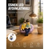 Mey İthalat® Okuyan Çift Figürlü Dekoratif Gece Lambası Hediye Seçeneği