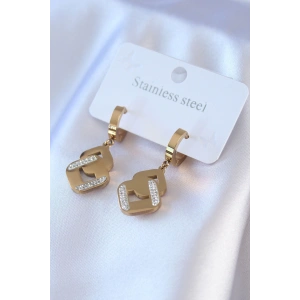 BFS 316L Çelik Gold Renk Zirkon Taşlı Kadın Küpe