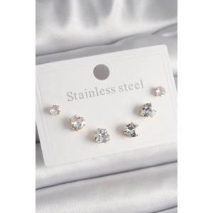 BFS 316L Çelik Gold Renk Zirkon Taşlı Kalp Model Kadın Küpe Seti