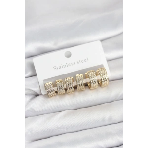 BFS 316L Çelik Zirkon Taşlı Gold Halka Küpe Seti